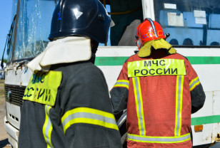 ДТП с быком, мусор и подгоревшая еда: итоги выездов смоленских спасателей