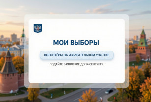 Жители Смоленской области могут заказать помощь волонтёров на выборах 