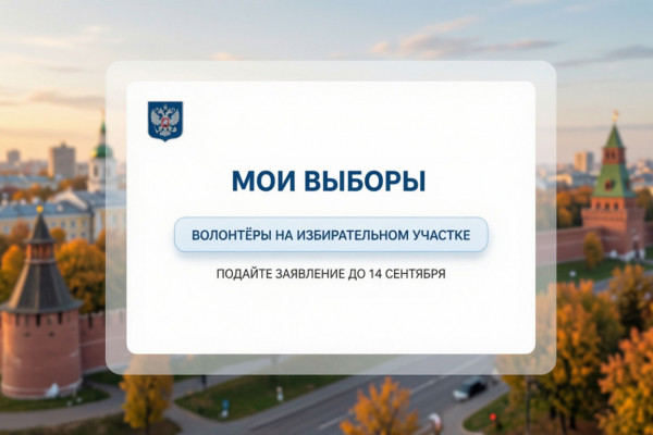 Жители Смоленской области могут заказать помощь волонтёров на выборах 