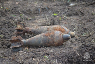 В Смоленской области нашли очередные взрывоопасные предметы