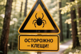 Около двух тысяч смолян обратились за помощью после присасывания клещей