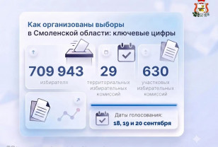 Правительство Смоленской области рассказало, как будут организованы выборы