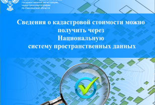 Сведения о кадастровой стоимости можно получить через Национальную систему пространственных данных