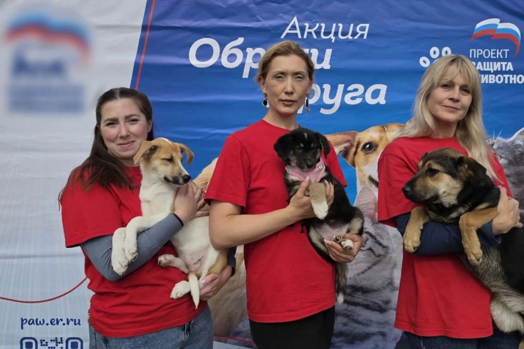 В Смоленске успешно прошла благотворительная выставка-раздача бездомных животных «Обрети друга»