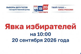 Избирательная комиссия Смоленской области обновила данные о явке на выборах