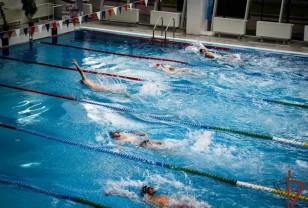 Смоленские росгвардейцы успешно выступили на чемпионате по плаванию