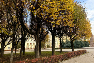 16 октября в Смоленской области пройдёт преимущественно без осадков
