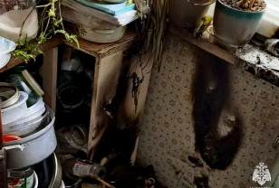 В Вязьме оставленная на подоконнике свеча привела к пожару