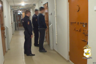 В Смоленске 26-летнему айтишнику грозит 20 лет лишения свободы