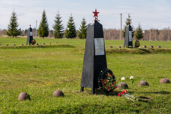 На Богородицком поле в Смоленской области почтят память участников Вяземской оборонительной операции 