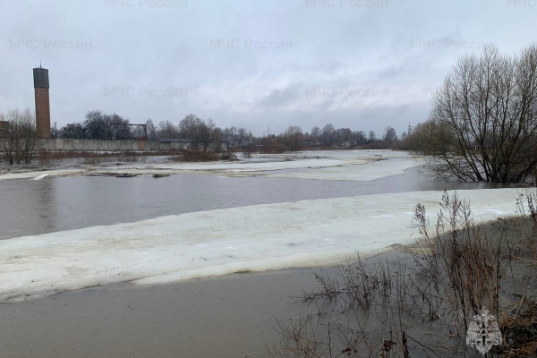 МЧС предупреждает о «высоком половодье» на реке Гжать Смоленской области