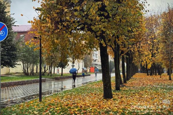 Смоленщину ждёт пасмурное воскресенье с осадками
