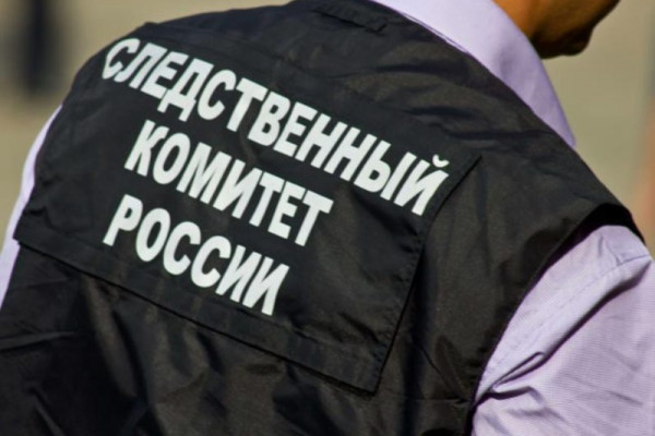 Бастрыкин взял под контроль экологическую проблему в Гагарине